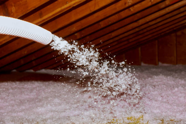 Best Energy-efficient Insulation  in Kemah, TX