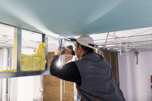 Best Soundproof Insulation Installation  in Kemah, TX