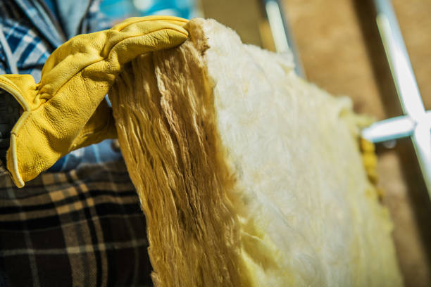 Best Affordable Insulation Services  in Kemah, TX