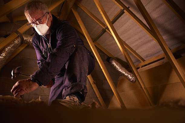 Best Spray Foam Insulation  in Kemah, TX